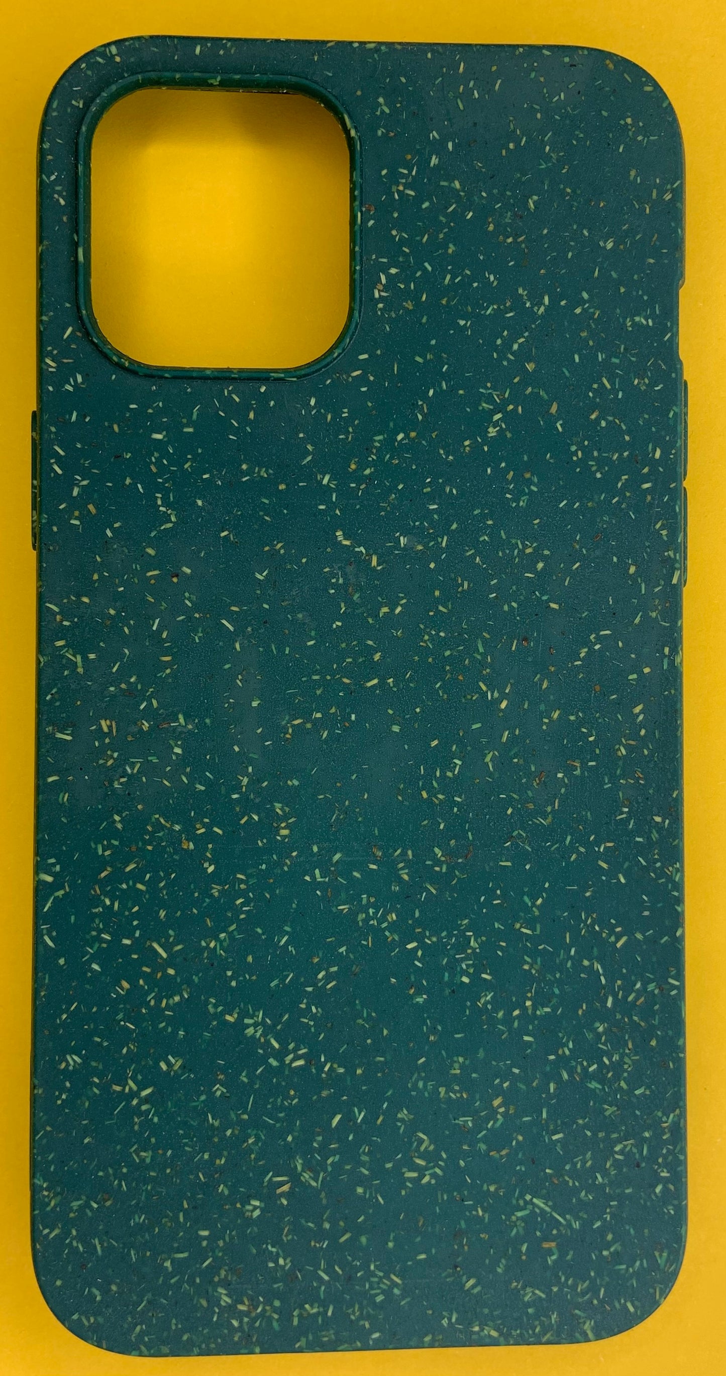 Apple iPhone 12 Mini Case